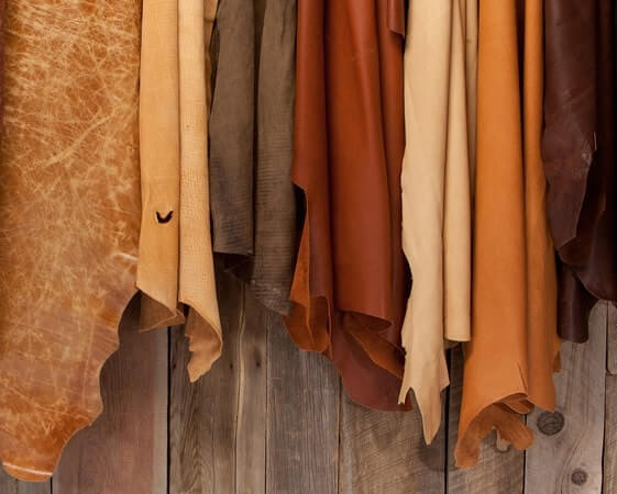 animal-hides-type.jpg