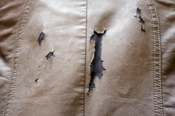 causes-of-peeling-leather.webp causes-of-peeling-leather.webp